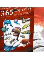 Guía Rápida 365 Especies del Atlántico