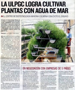 la-ulpgc-logra-cultivar-plantas-con-agua-de-mar-canarias-7-1-5-09